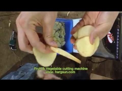 Fruit & Vegetable cutting machine